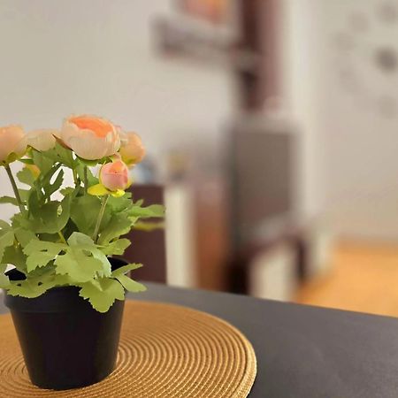 Apartament Confort Hd 胡内多阿拉 外观 照片