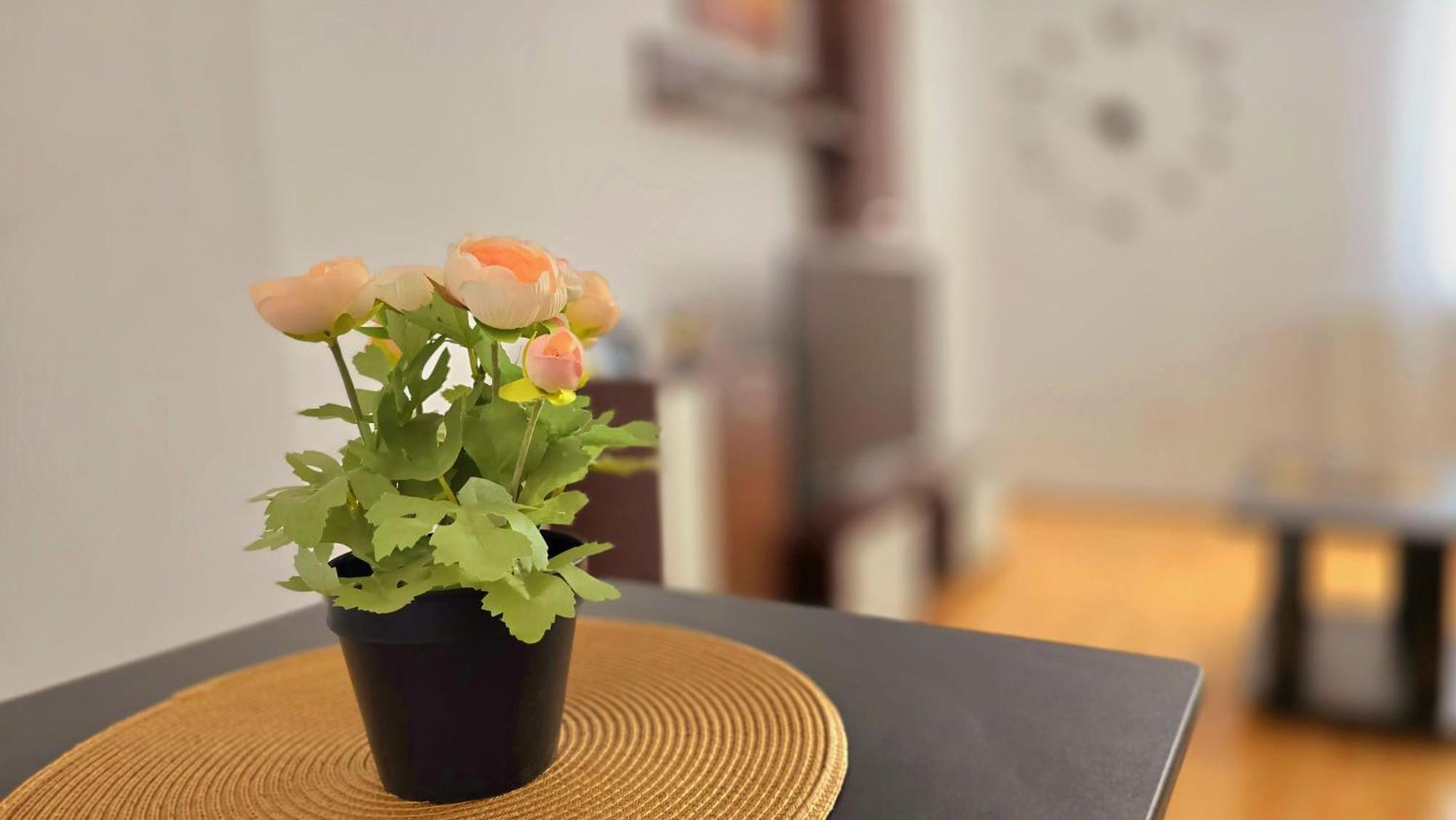 Apartament Confort Hd 胡内多阿拉 外观 照片
